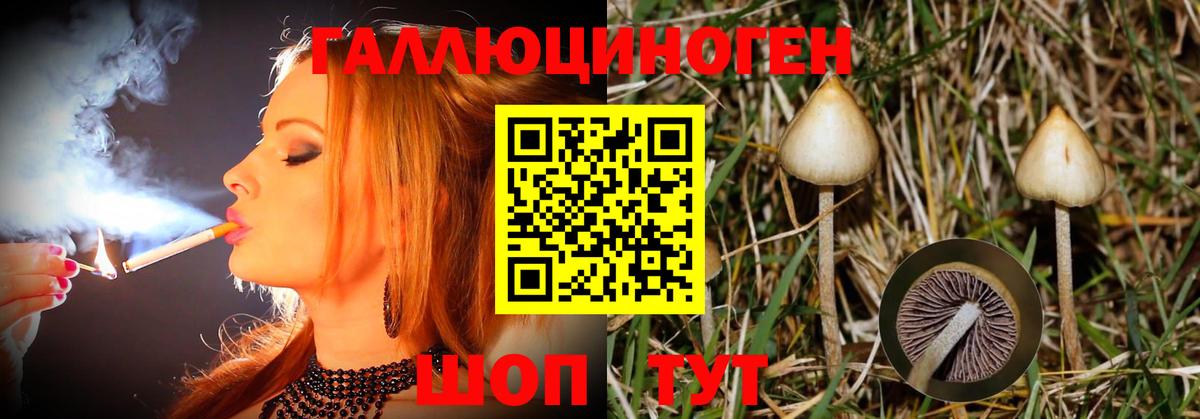 Псилоцибиновые грибы прущие грибы  Галлюциногенные грибы Psilocybe  Усть-Илимск  Вход с VPN 